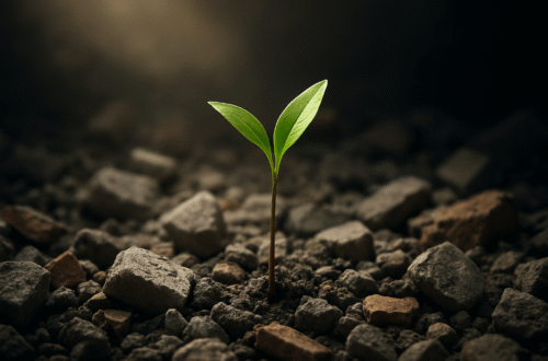 a single sprout growing in rubble; symbolizing a new beginning and rebuilding